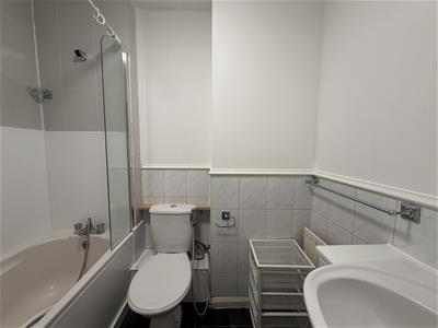 Picture 10